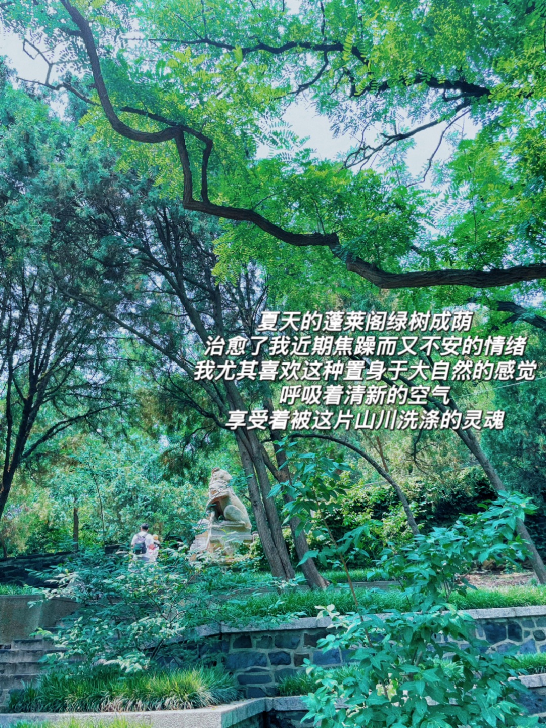 人间蓬莱，碧海丹心｜又曰海上有仙山，山在虚无缥缈间