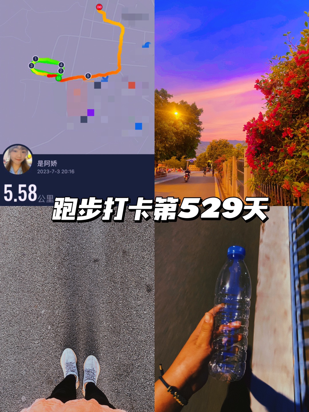 🌷plog | 跑步打卡第529天