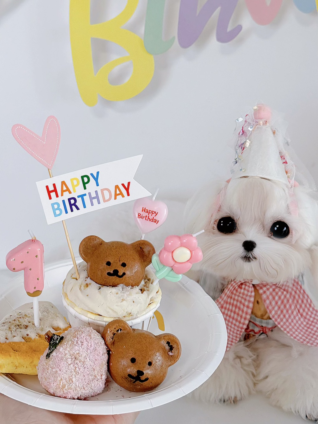 દ🎡🎠🎢૩ 可以祝我的小狗生日快乐吗？