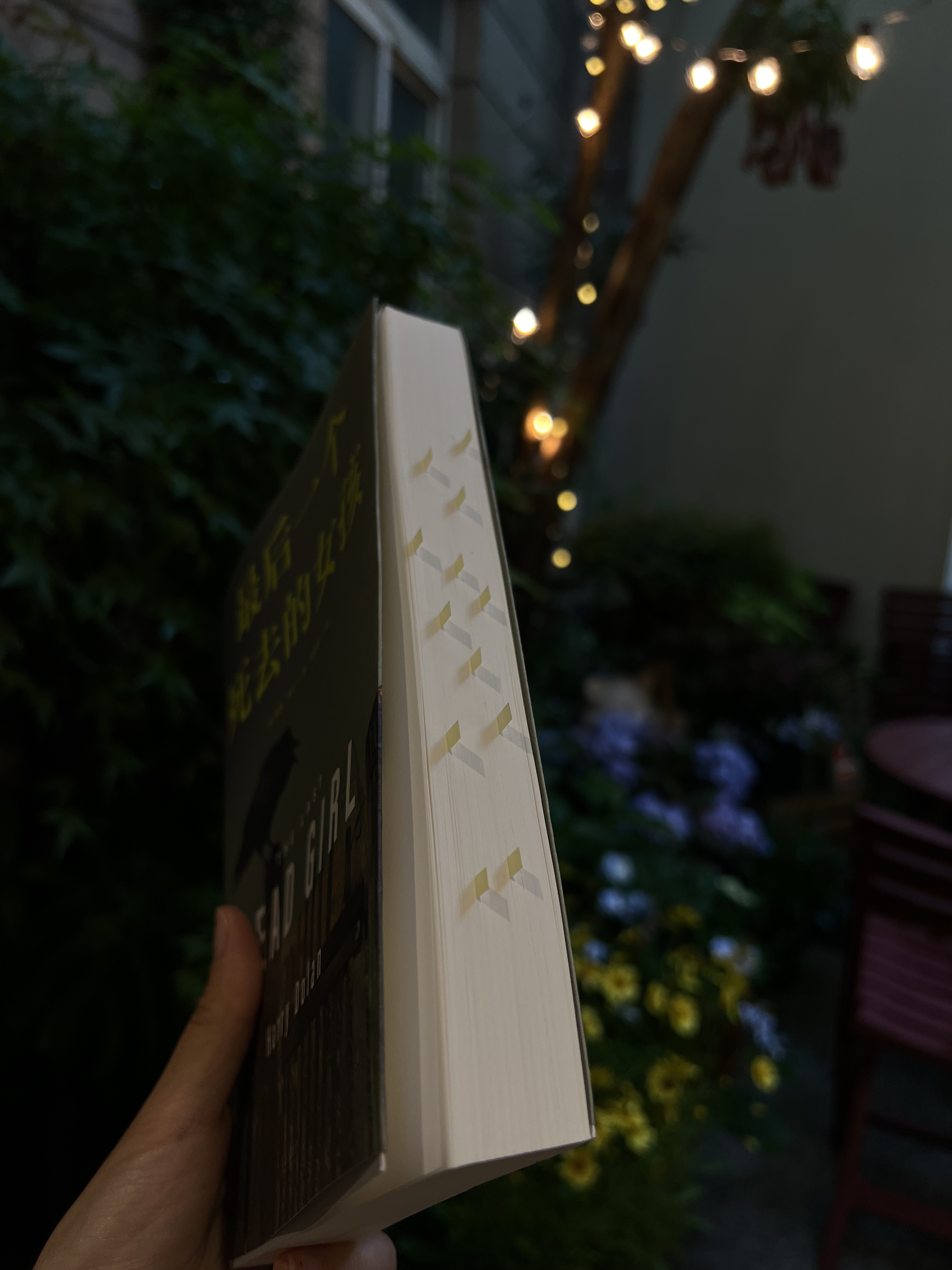 凌晨三点，我该如何放下这本书💀悬疑控欲罢不能