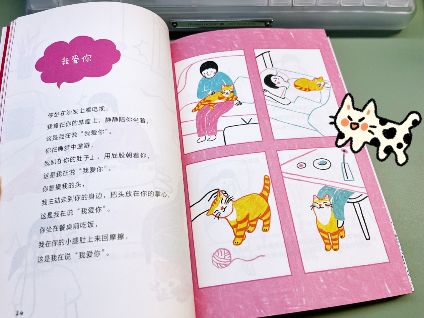 猫猫爱你😘 它们说啦 七夕快乐～