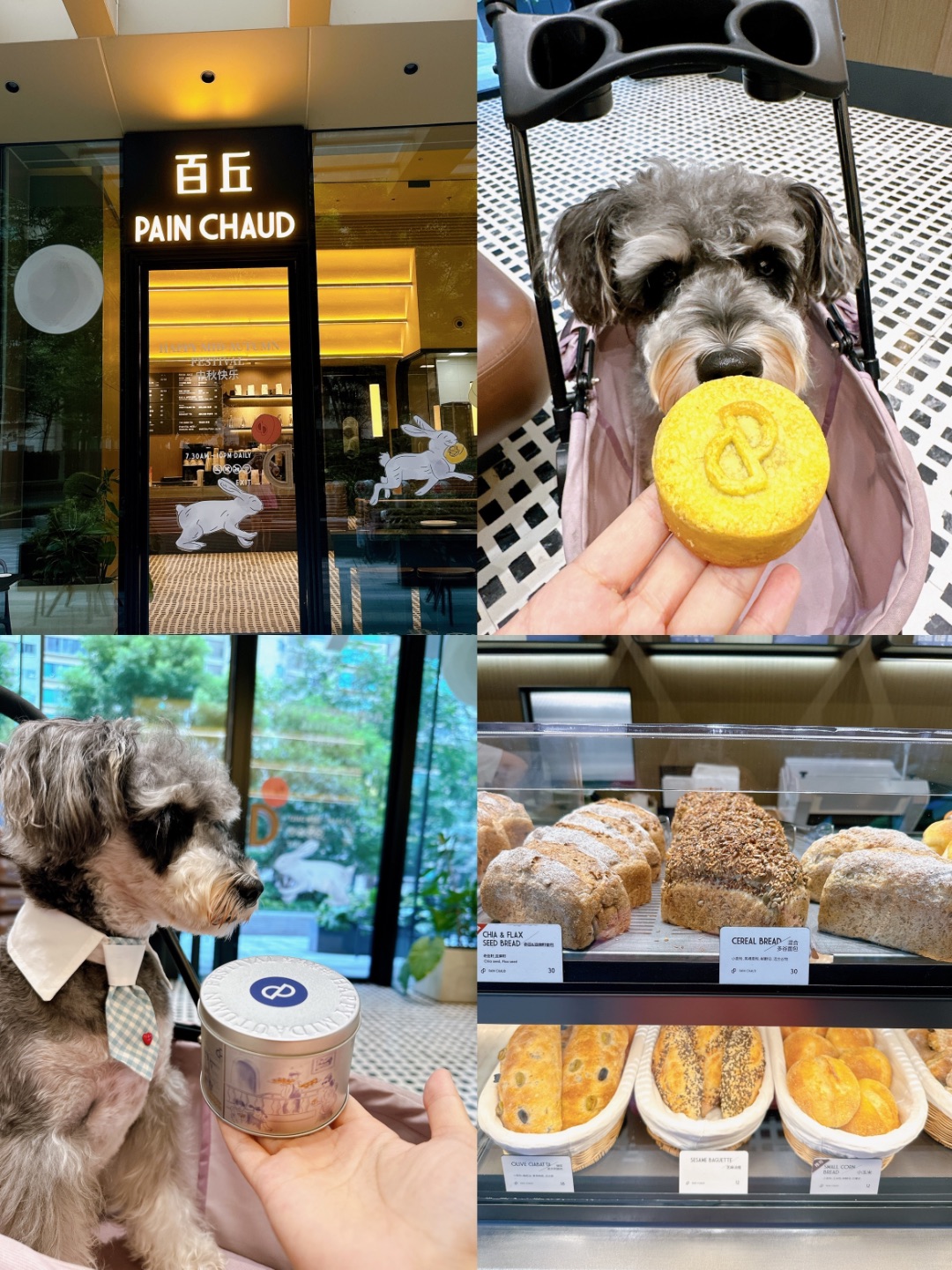 和小狗🐕一起吃今年的第一个🥮