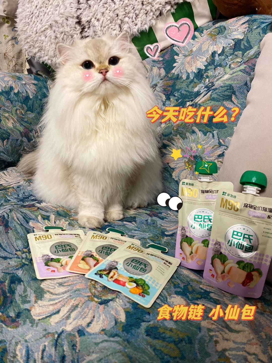 家里两只舔舔怪小猫表示已抢疯！