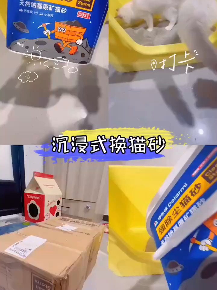 沉浸式换猫砂🐱外面当牛马回家还是牛马🐴