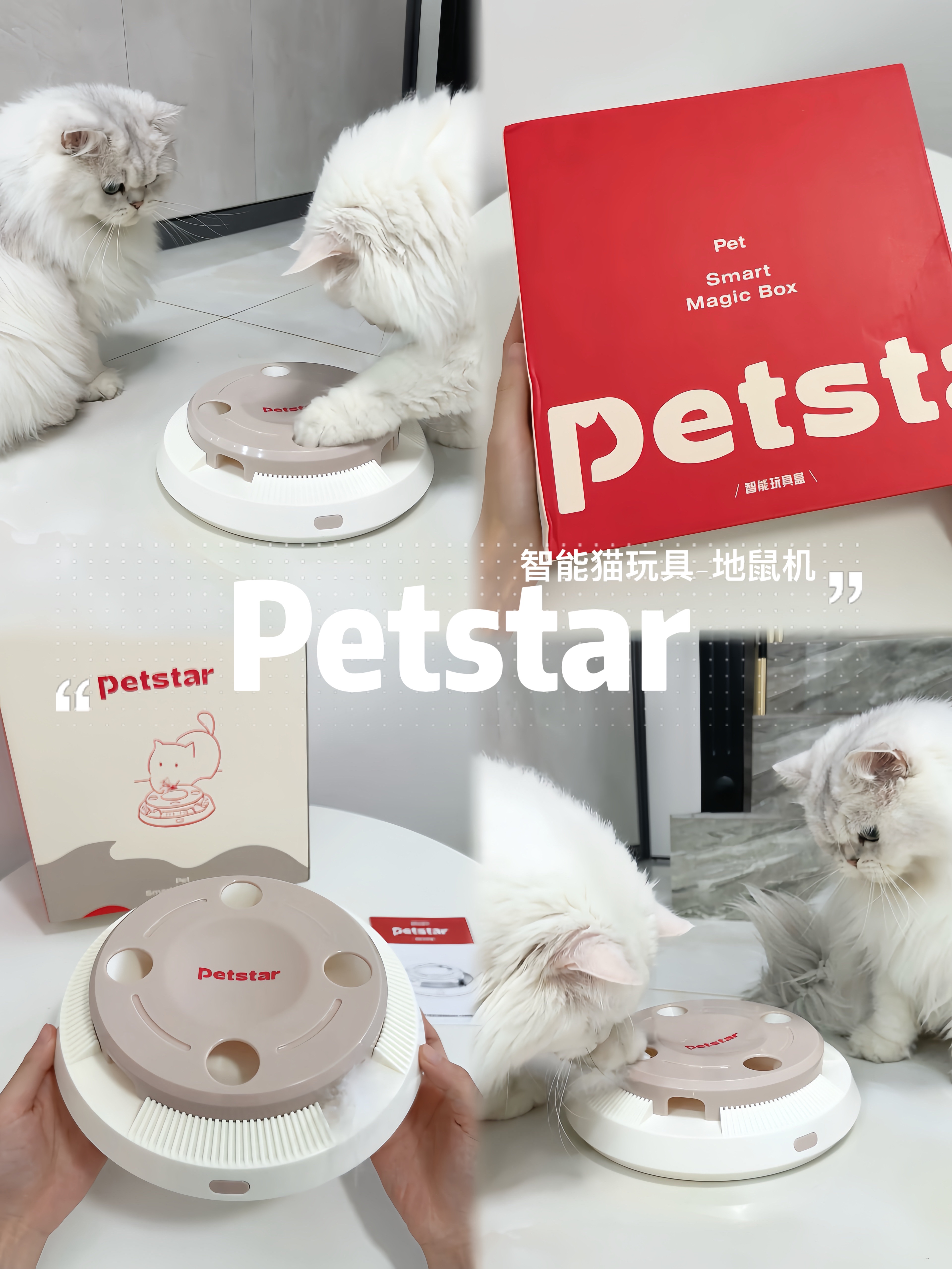 🐱✨【Petstar智能猫玩具】科技助力，让猫咪玩得更开心