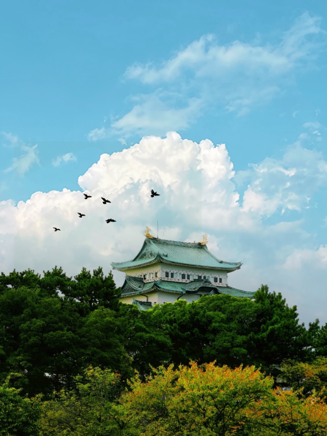 名古屋旅行第一站，日本三大名城名古屋城｜ 到底是谁说名古屋不是旅游城市的，这里也太好玩了吧，即冈山之后，我又开启了名古屋之旅，这次跟我一起好好玩吧～ · 我们首先到达了名古屋之城，名古屋城与大阪城，熊本城被合称为“日本三大名城”。它以其独特而壮观的建筑风格而闻名。它采用了传统日式木结构和黑色漆涂装，整体设计简洁大气。登上城楼，你可以俯瞰到整个名古屋市区美景，感受到岁月沧桑的魅力。 · 现在马上进入...