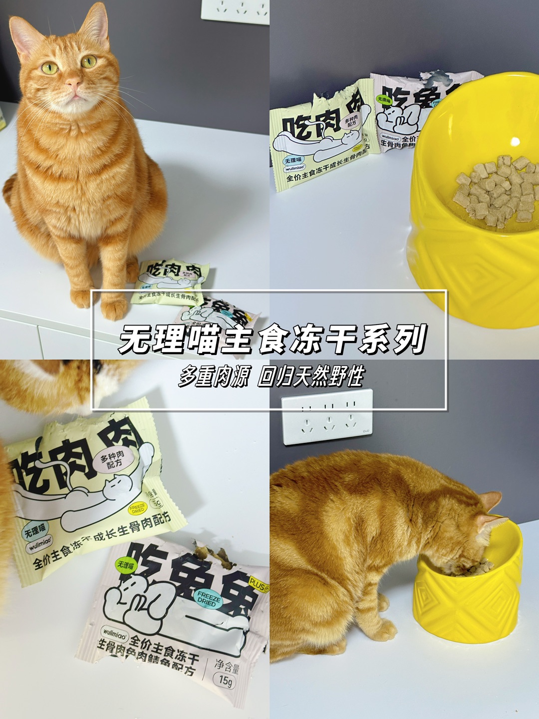 特别爱吃的猫咪冻干