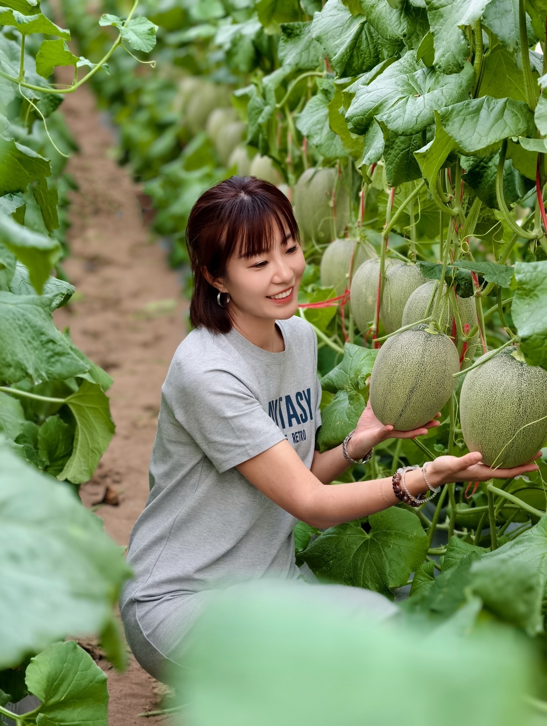 吃瓜群众已上线