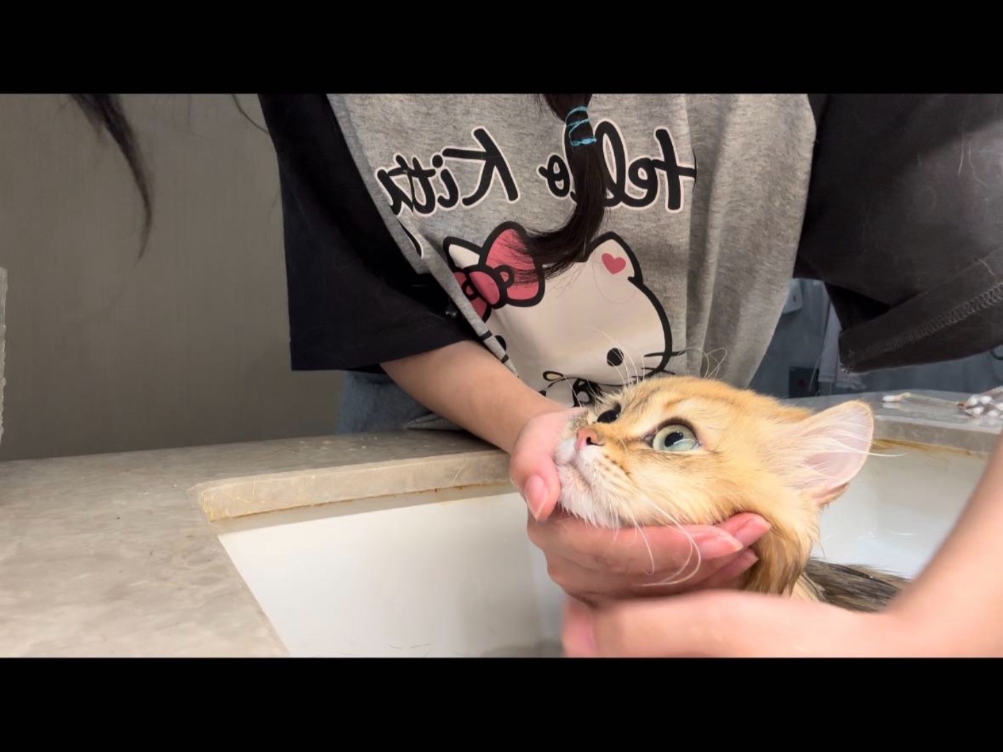 小猫洗澡日！！