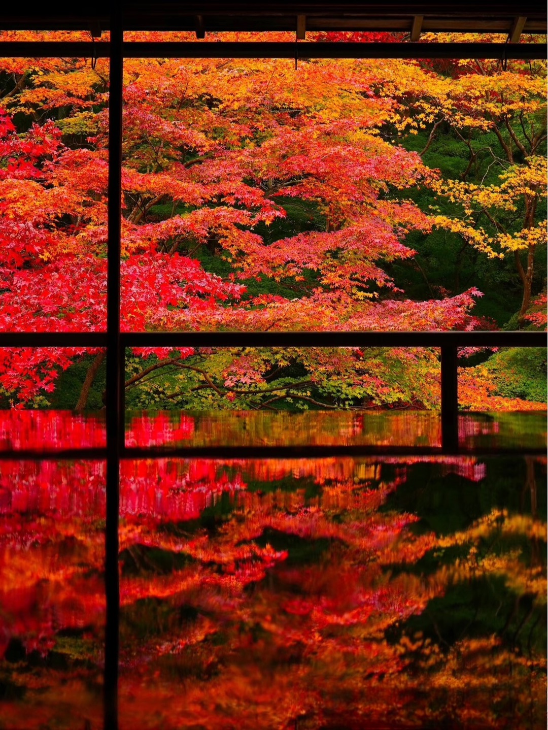 京都的琉璃光院 果然名不虚村