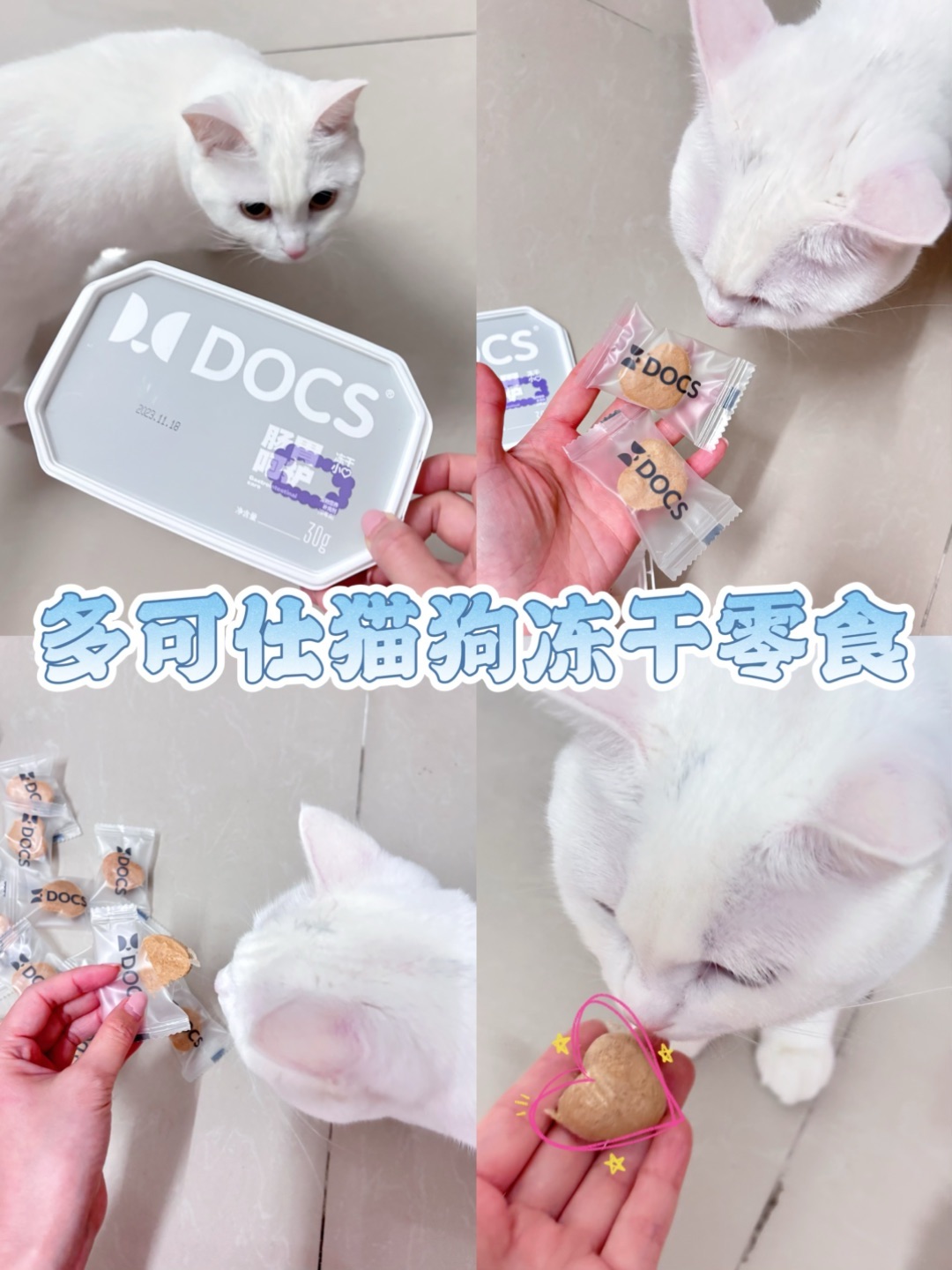 养猫经验分享⏯️关于宠物冻干零食