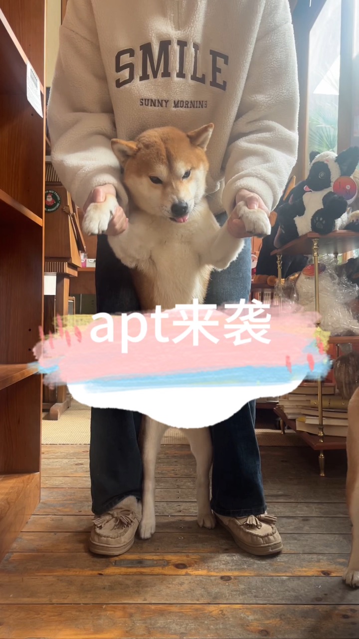 小狗版apt来袭