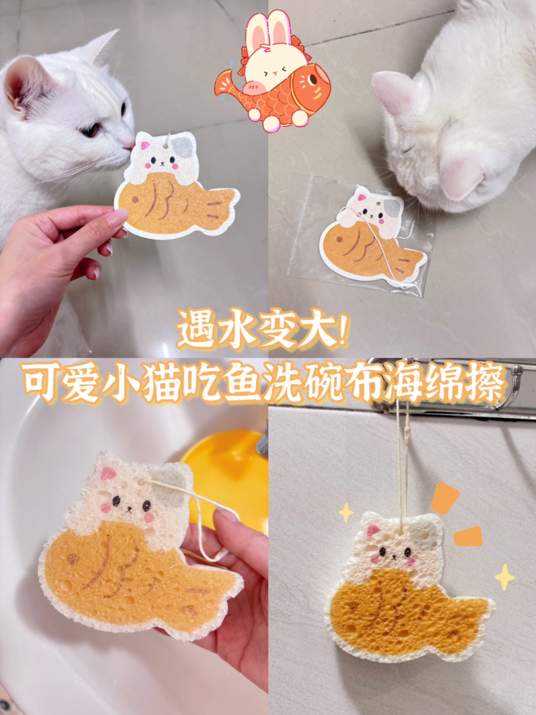 🧽好可爱的海绵擦🐱🐟好看又好用