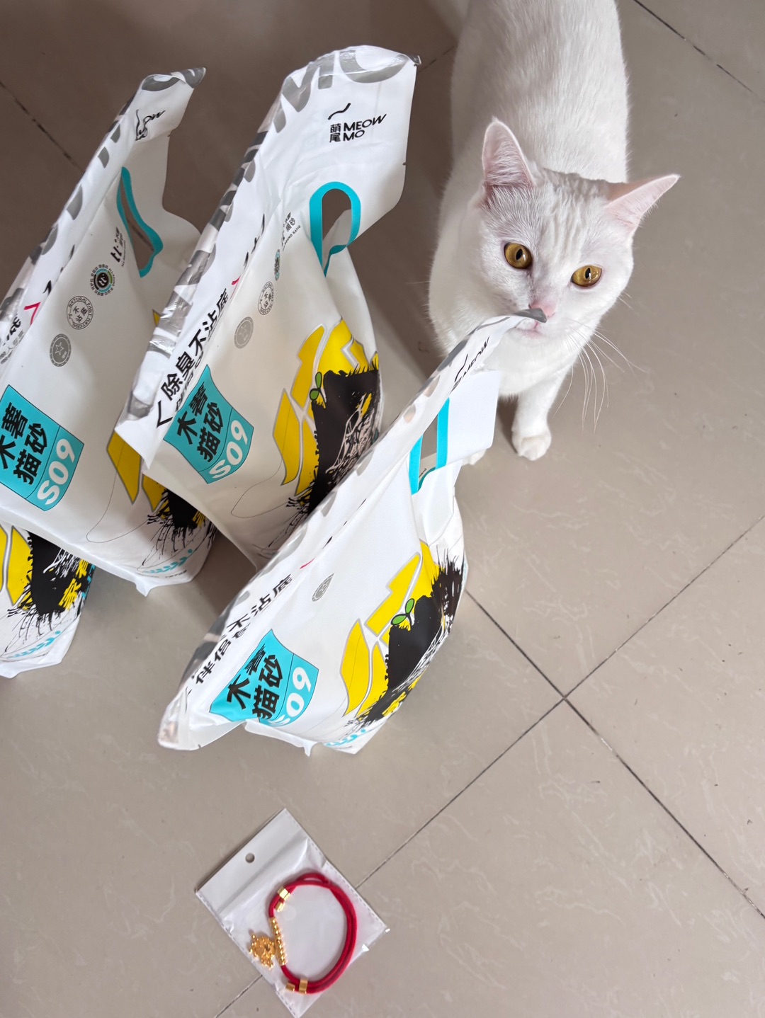 西五街