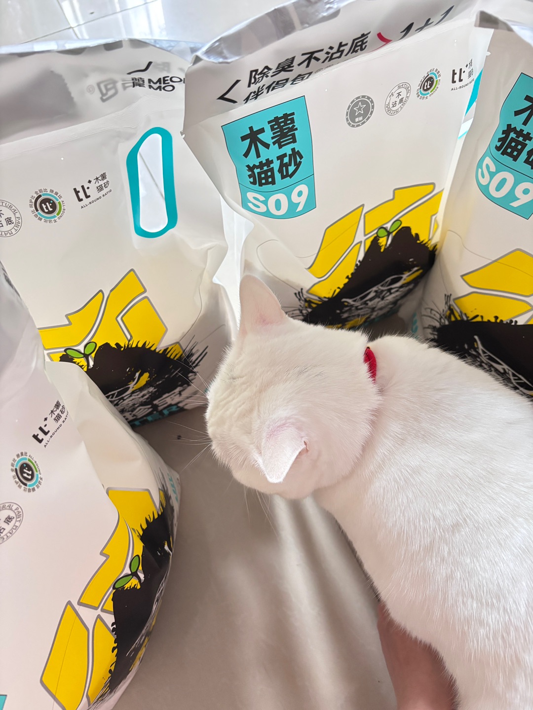 西五街