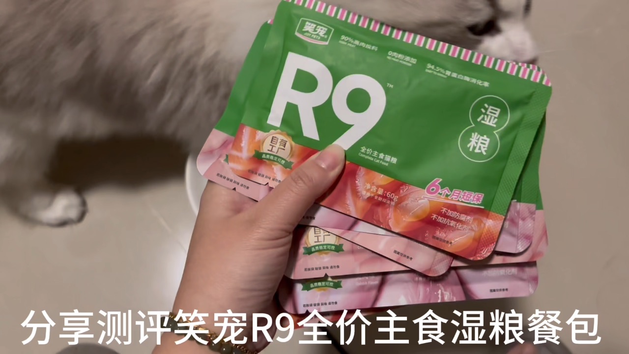 笑宠r9主食湿粮0124