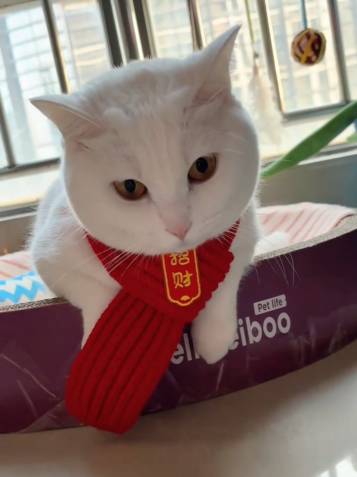 西五街