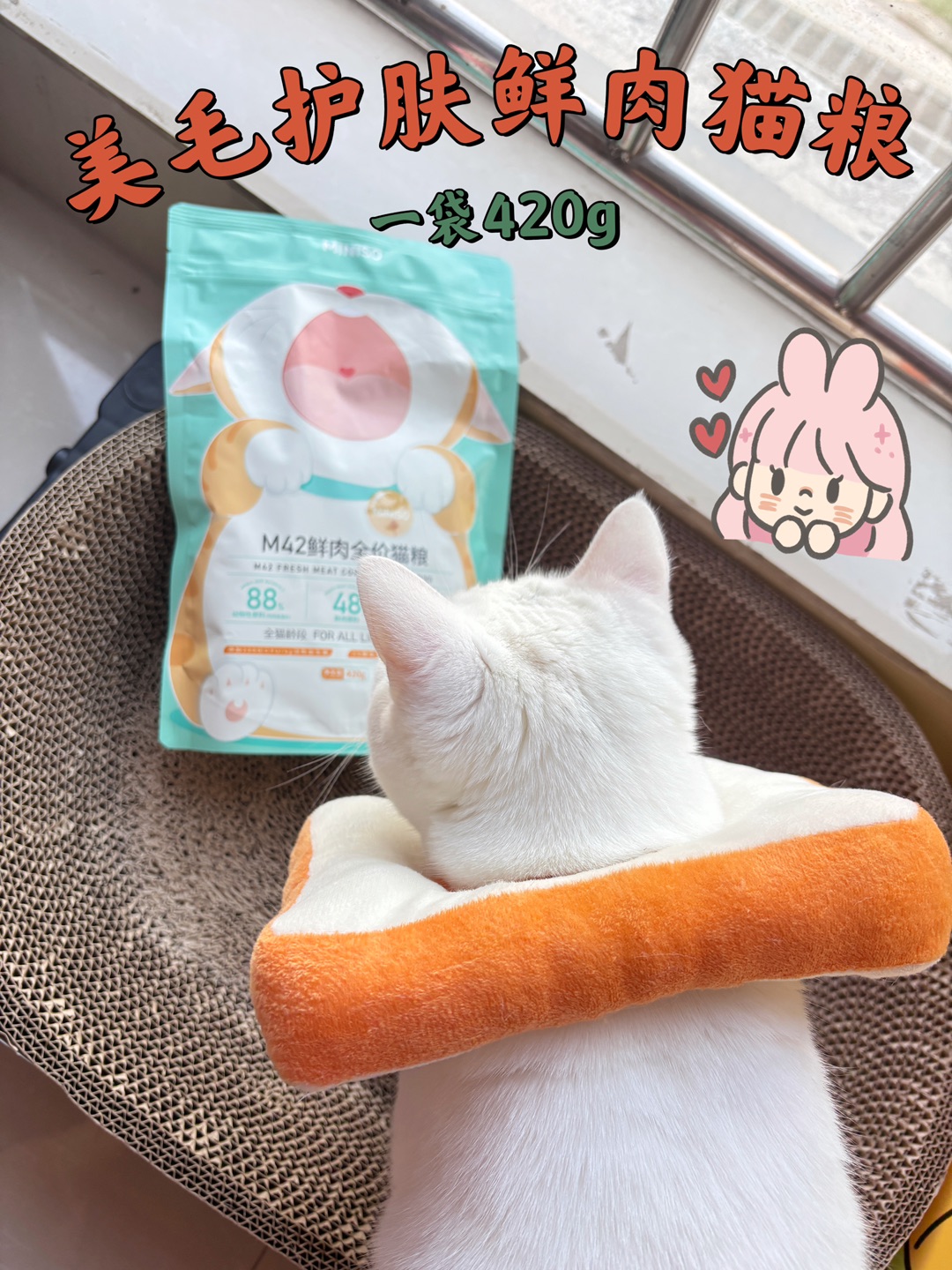 这家鲜肉猫粮也太赞了吧！
