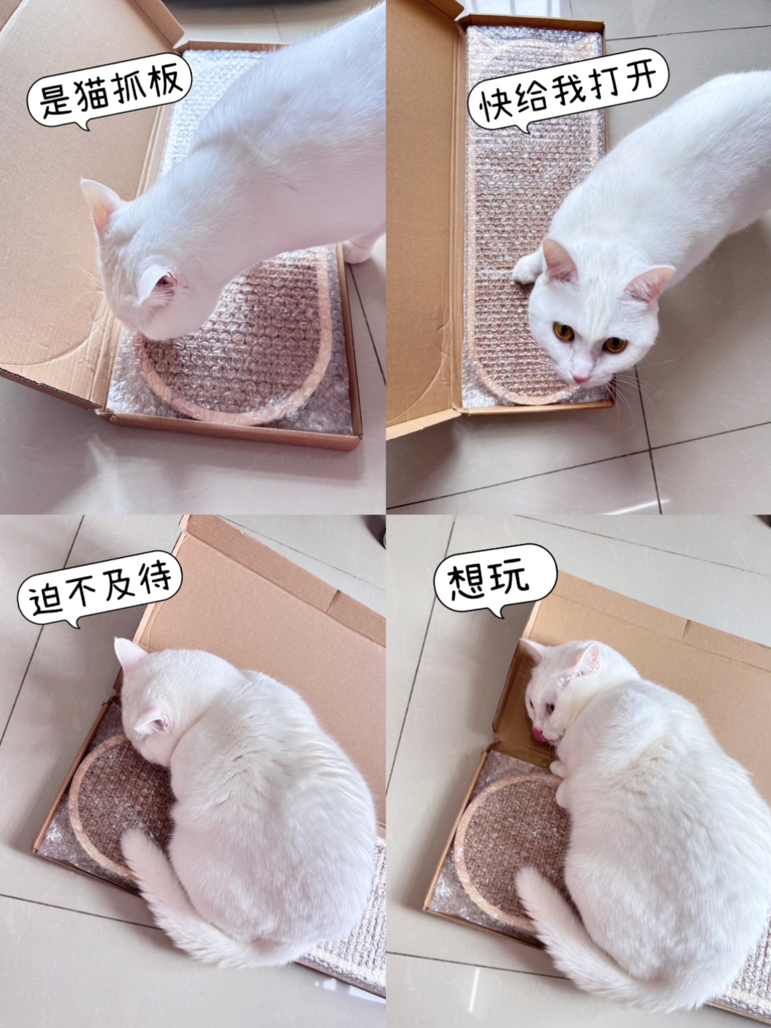 西五街