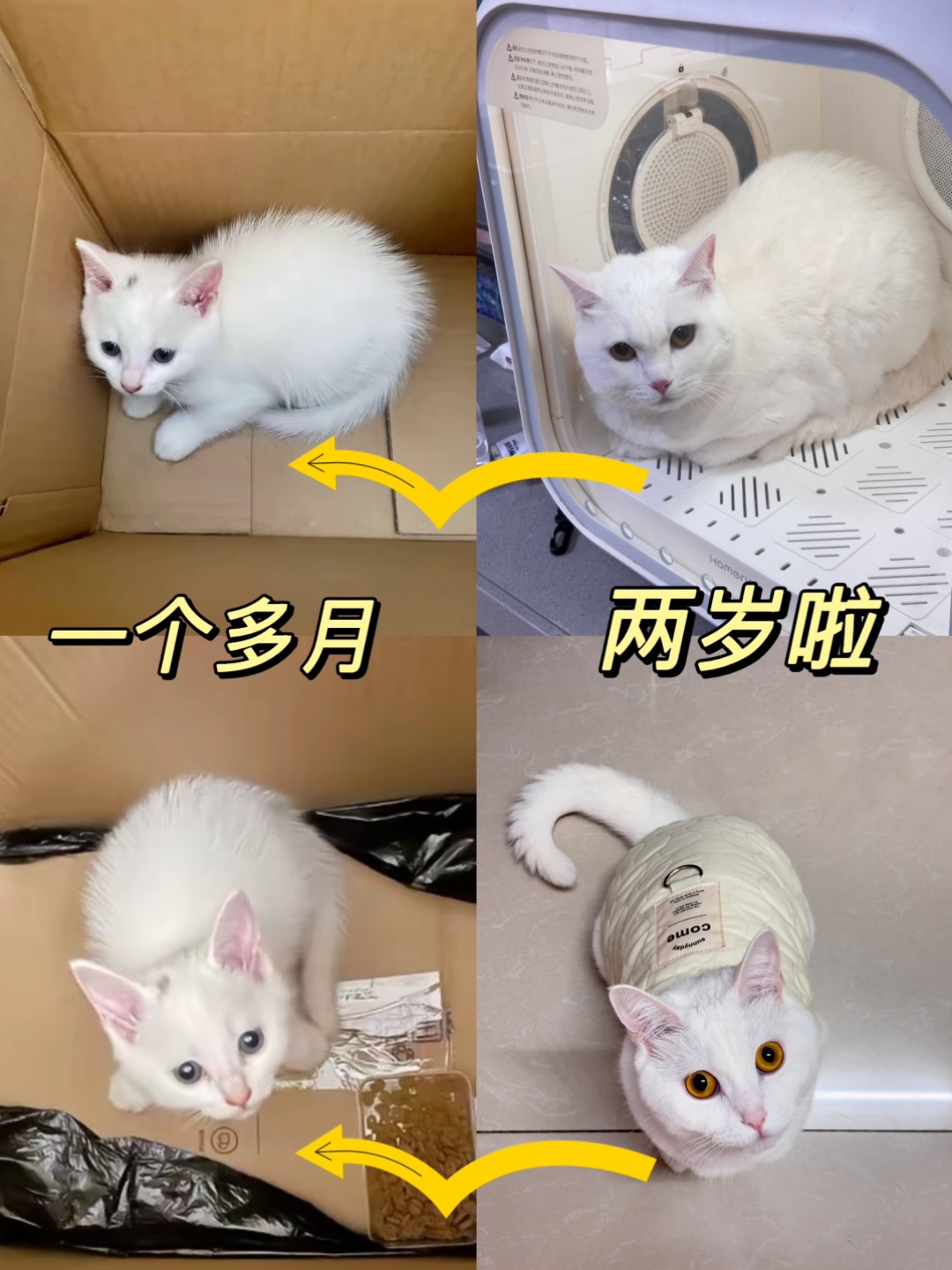西五街