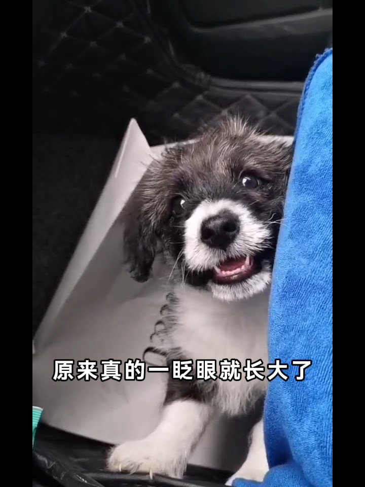 西五街