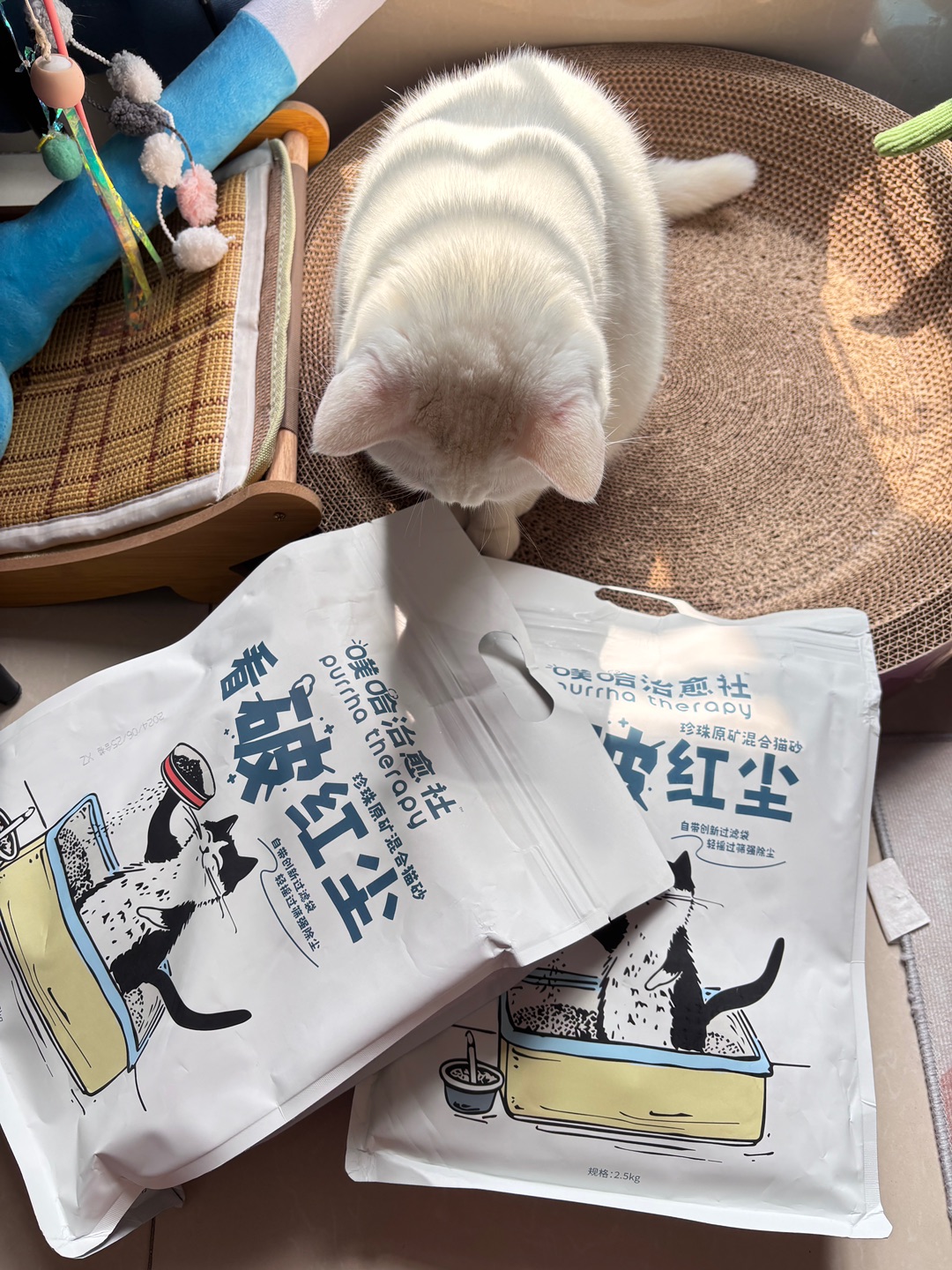 西五街