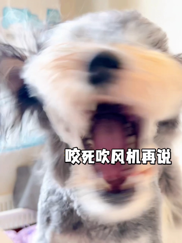 西五街