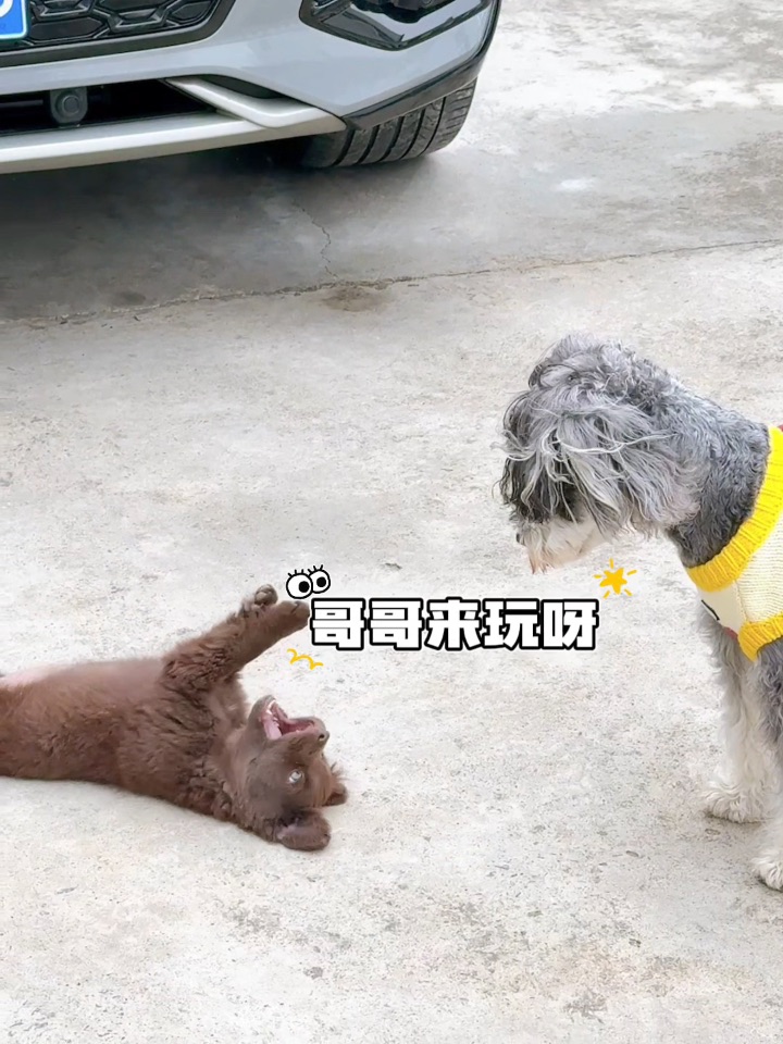 西五街