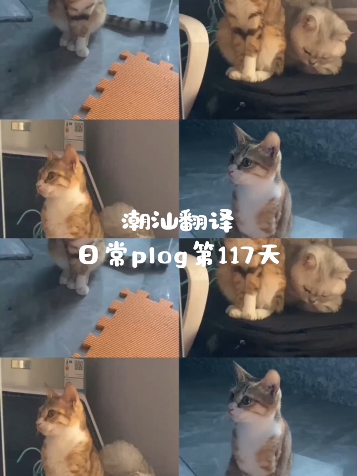 我真的追不上以前那个发光的自己了