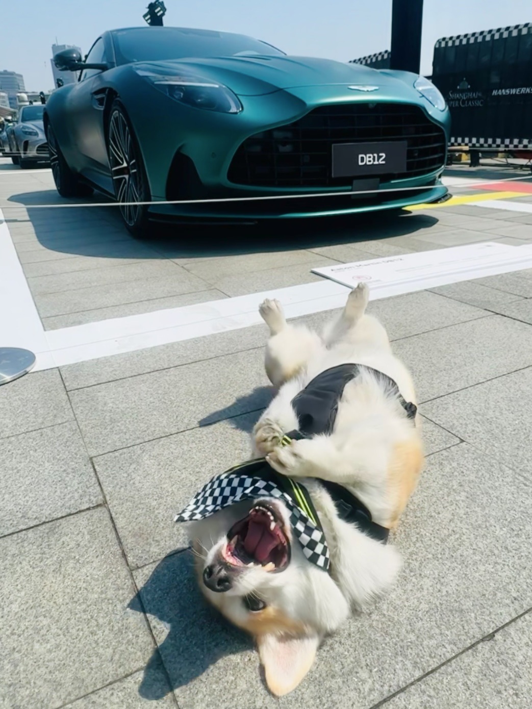 走了呀💢这我真的买不起啊……‼️