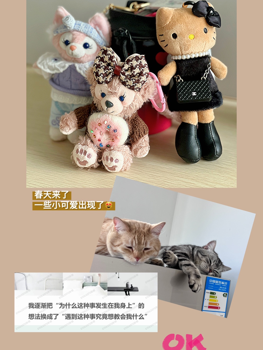 Plog03｜生活的支点多一些高高托举起小日常