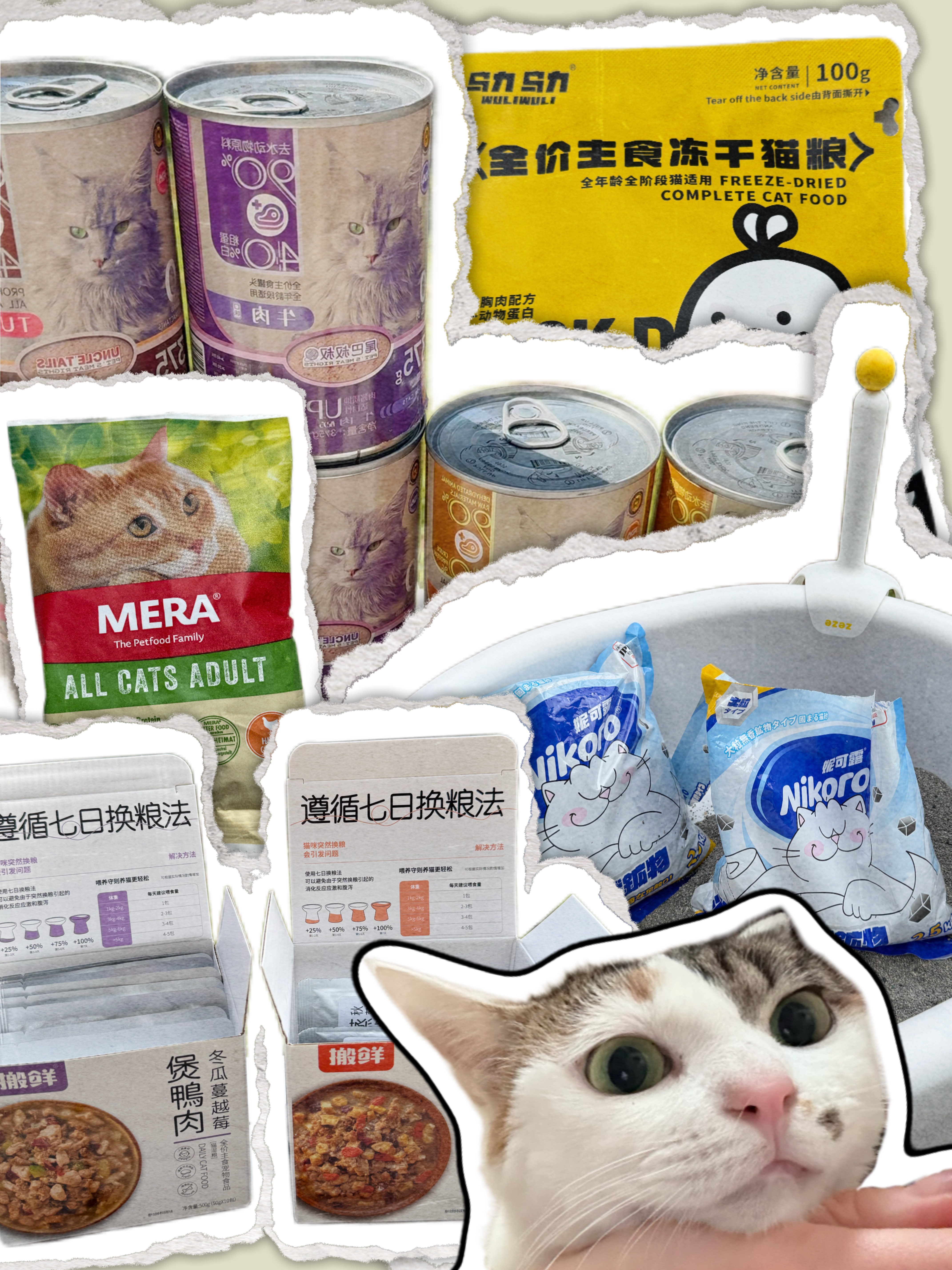 🛒 𝑉𝑙𝑜𝑔｜我打赌这6样东西你至少喜欢俩