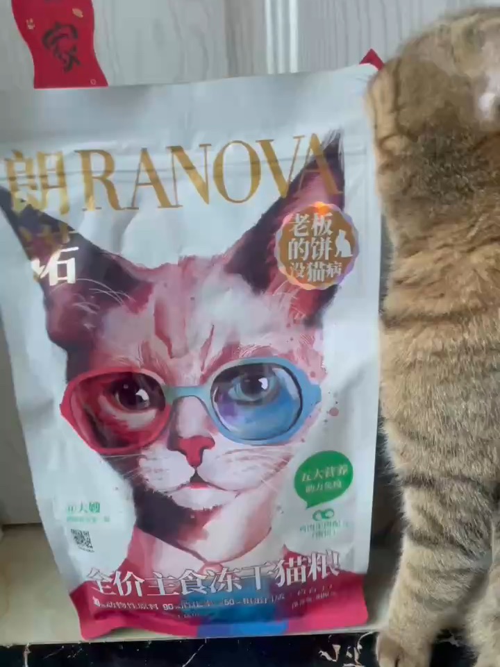 老板的大饼🫓