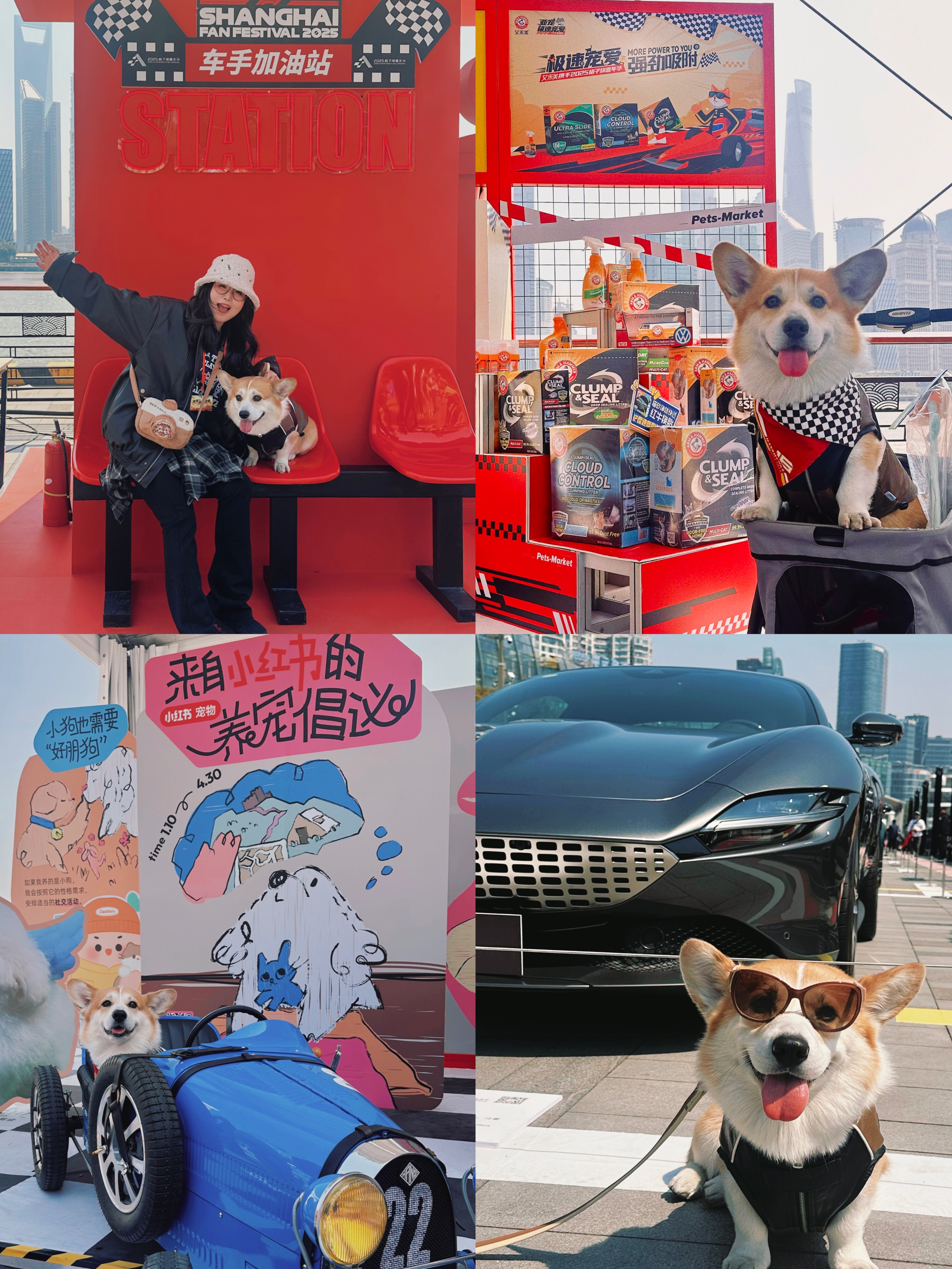 萌宠赛车手已就位🏁出发🏎️
