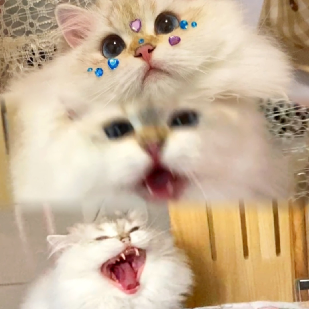 西五街