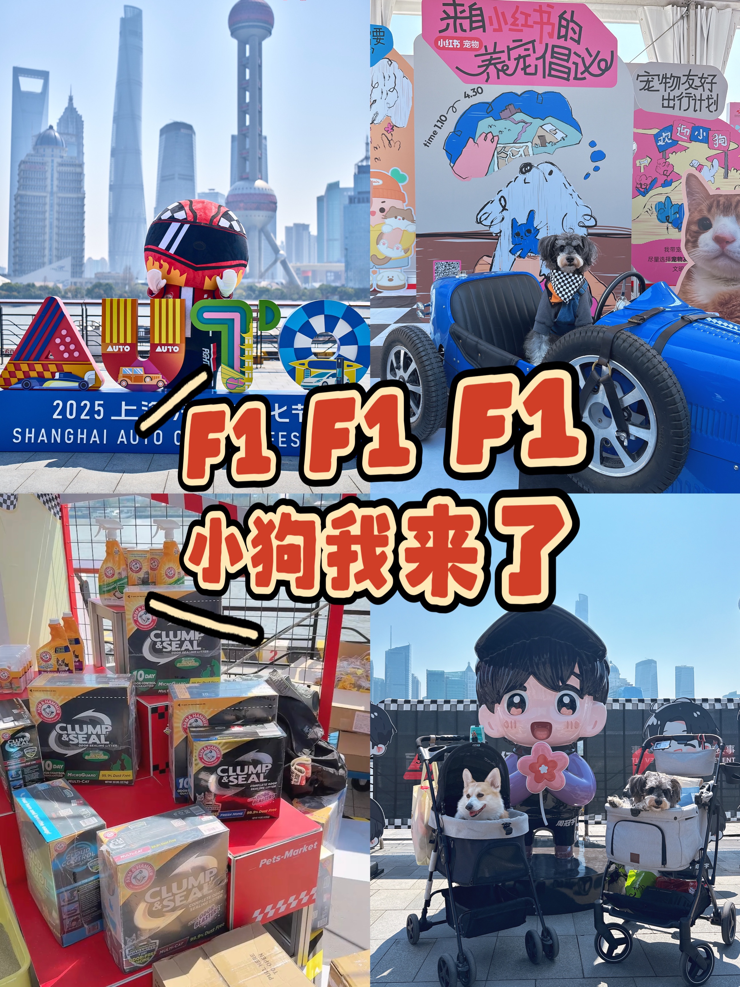 边看车展边撸狗 上海还是太超前