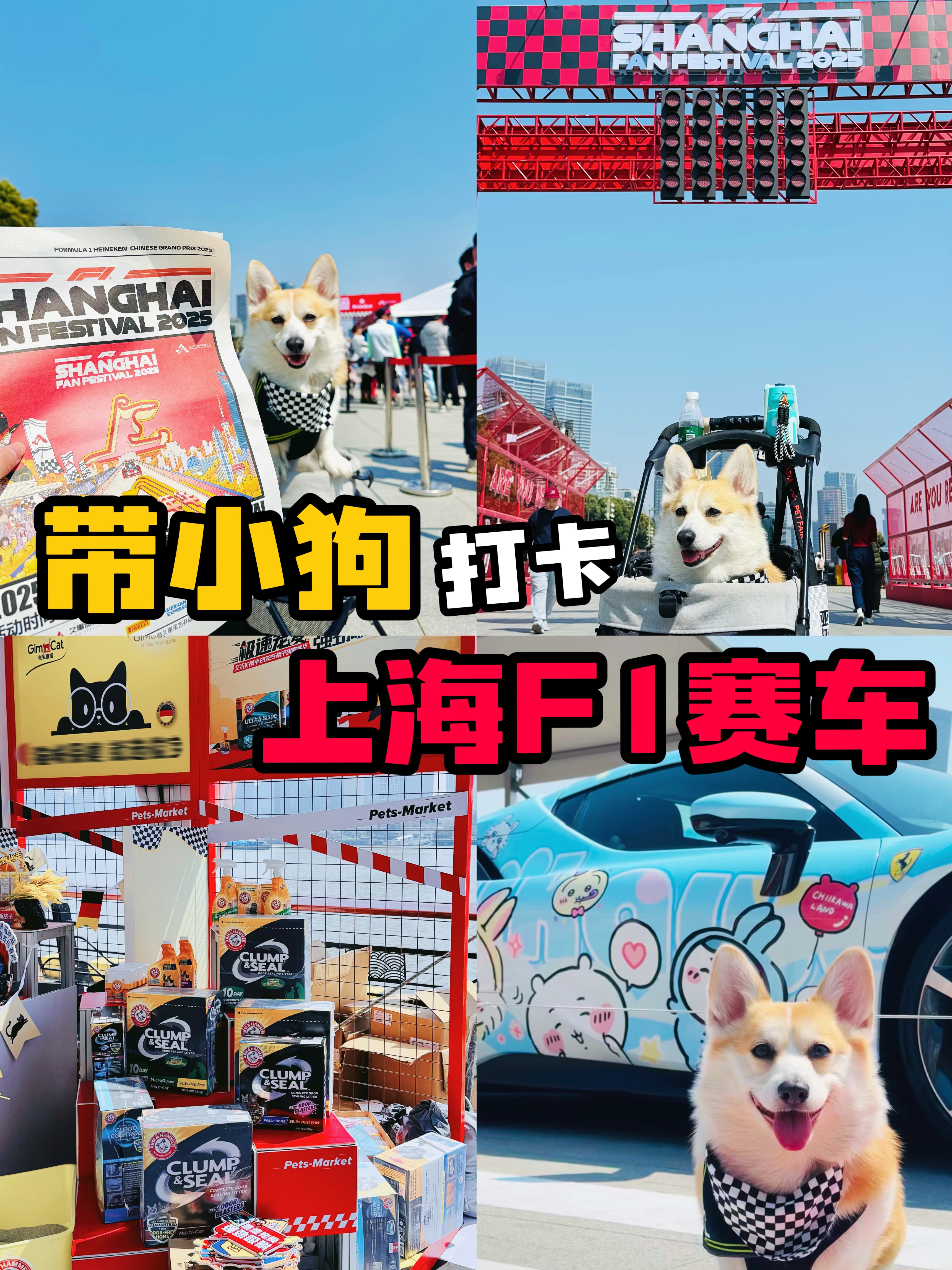带小狗去F1 🏎️梦里提车了