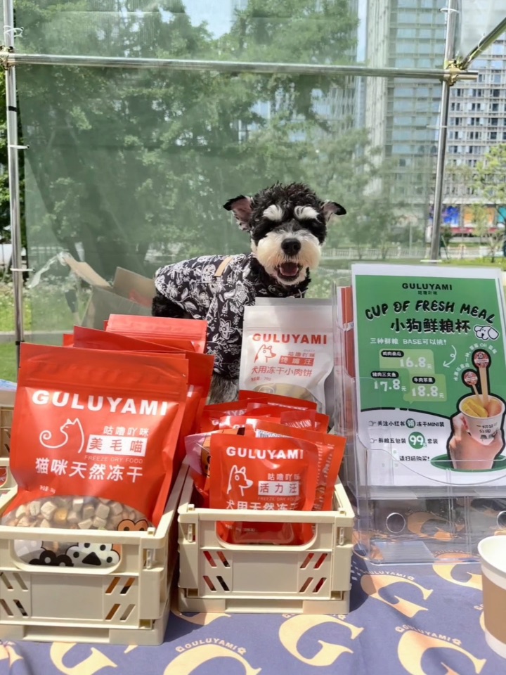 周末打工小狗