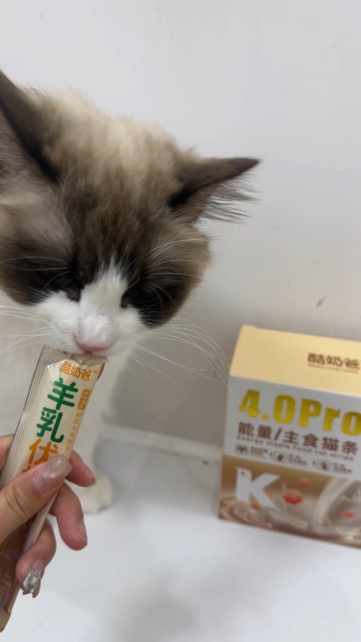 沉浸式吃饭