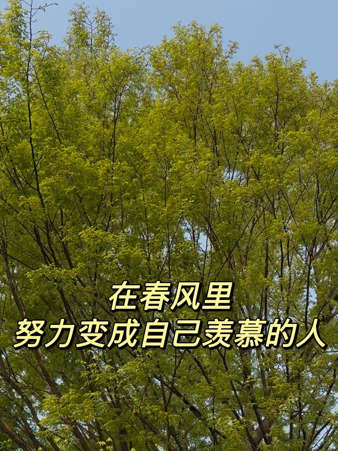 为自己点赞
