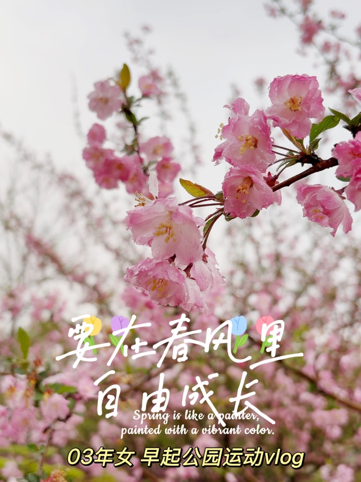屏蔽外界只想做自己