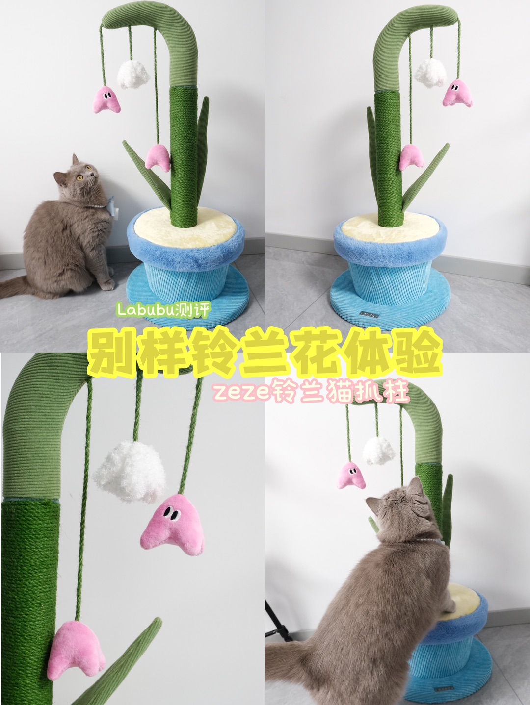 西五街