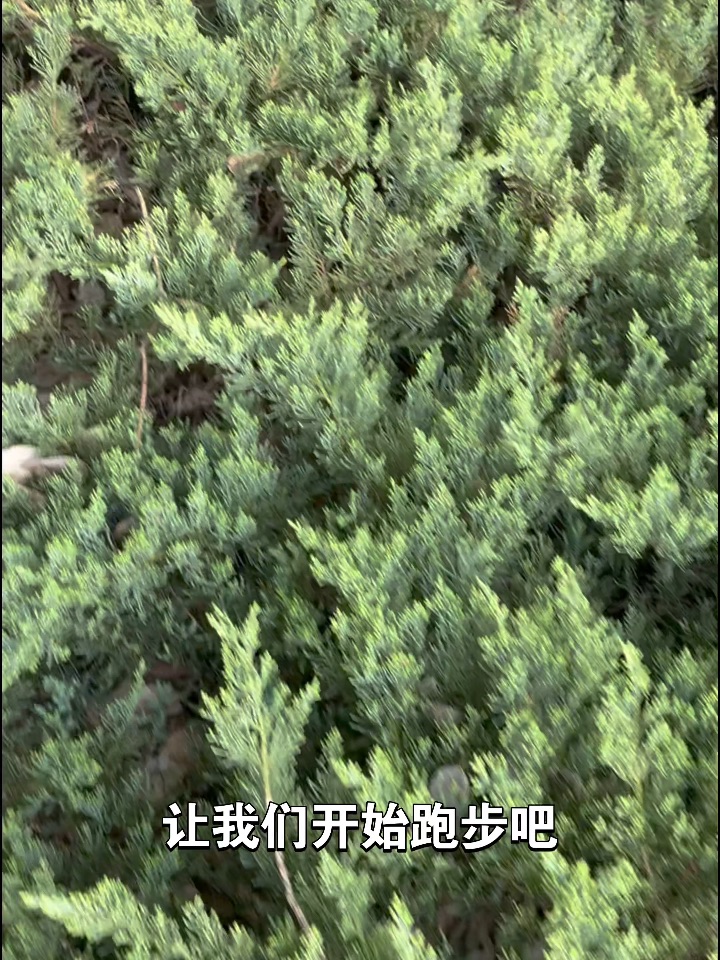 忘记生活的疲惫，感受运动的快乐