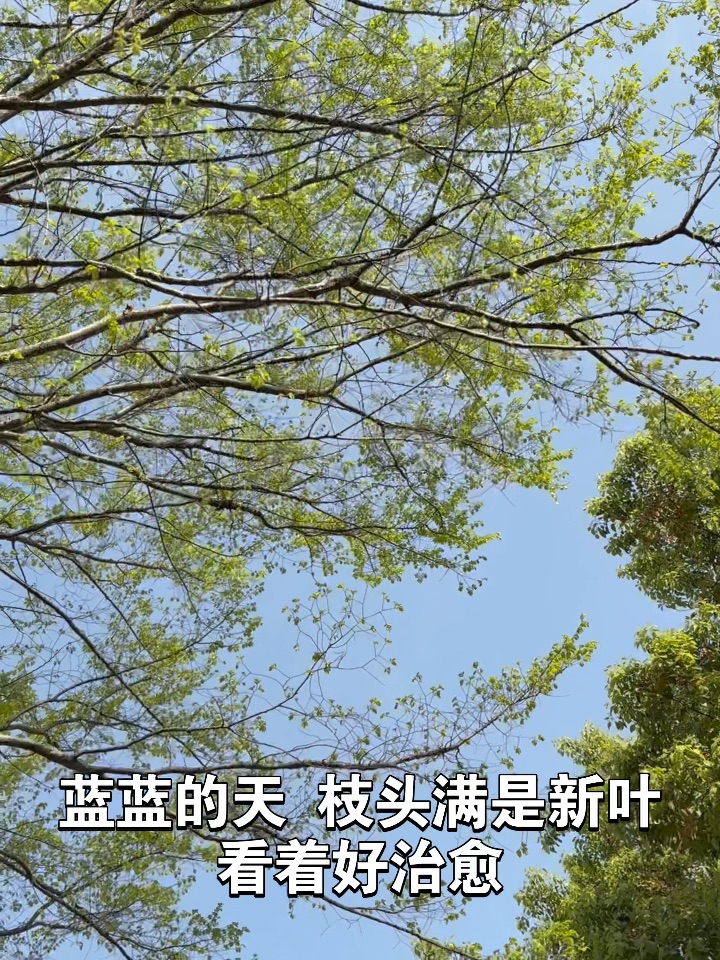 我爱运动我爱运动我爱运动