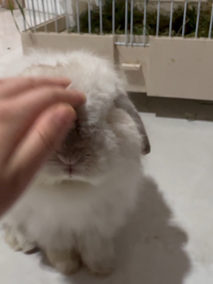 这孩子太乖了
