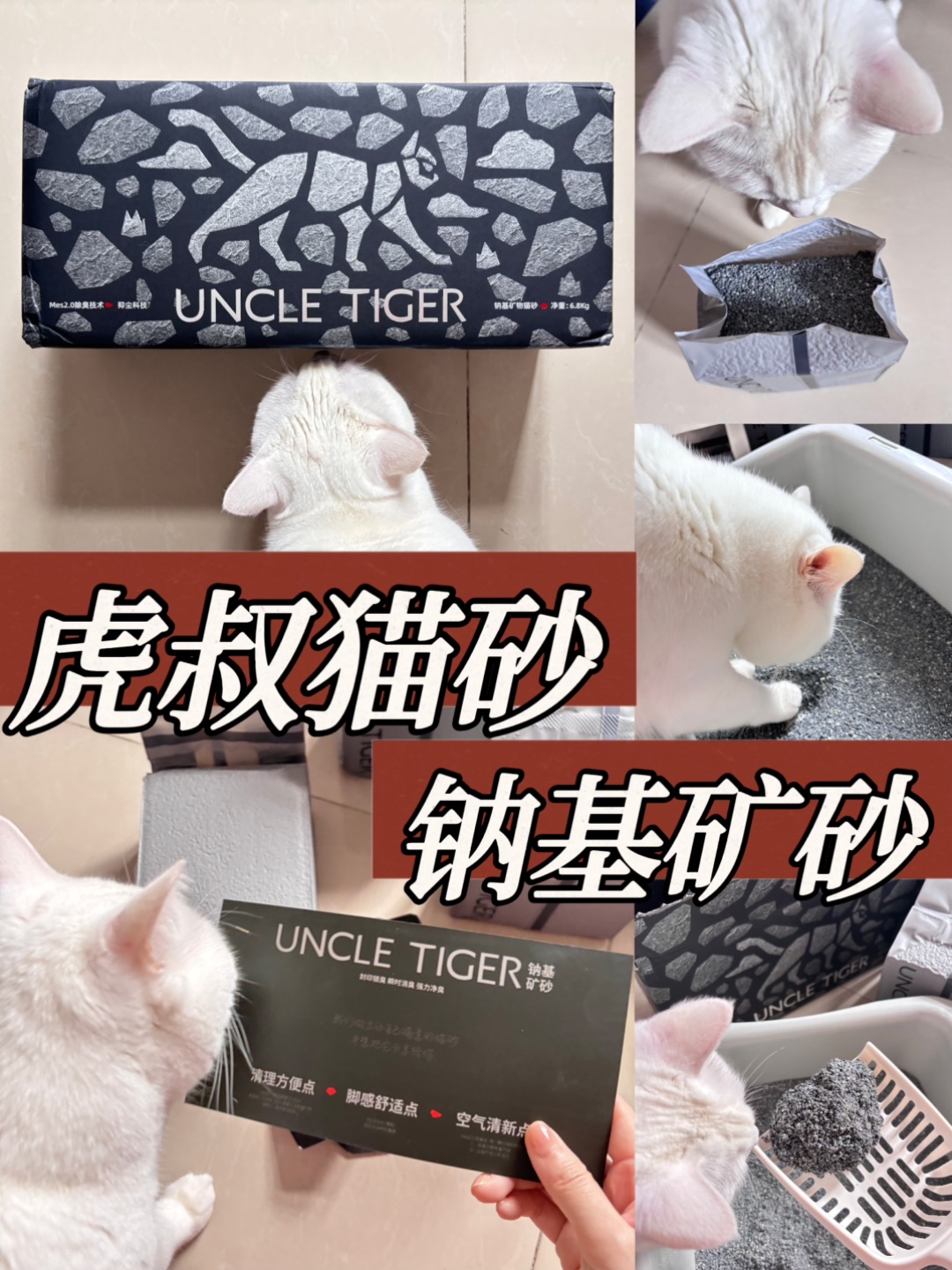 怎么会有这么高级好用的猫砂🤩