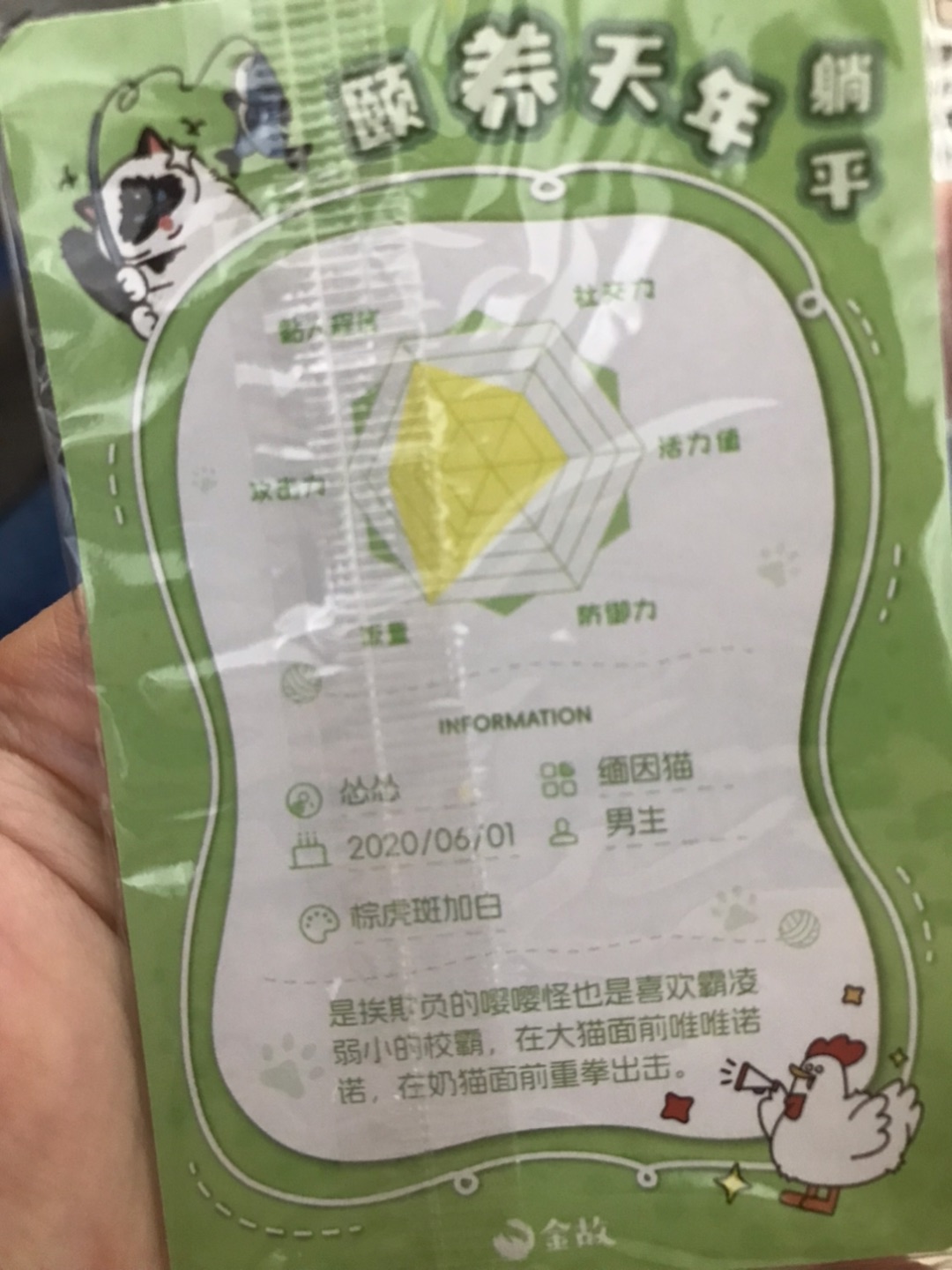 西五街