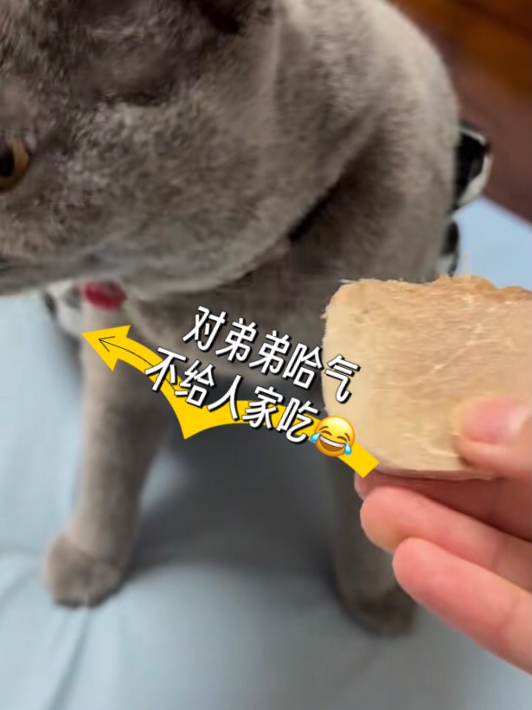 西五街