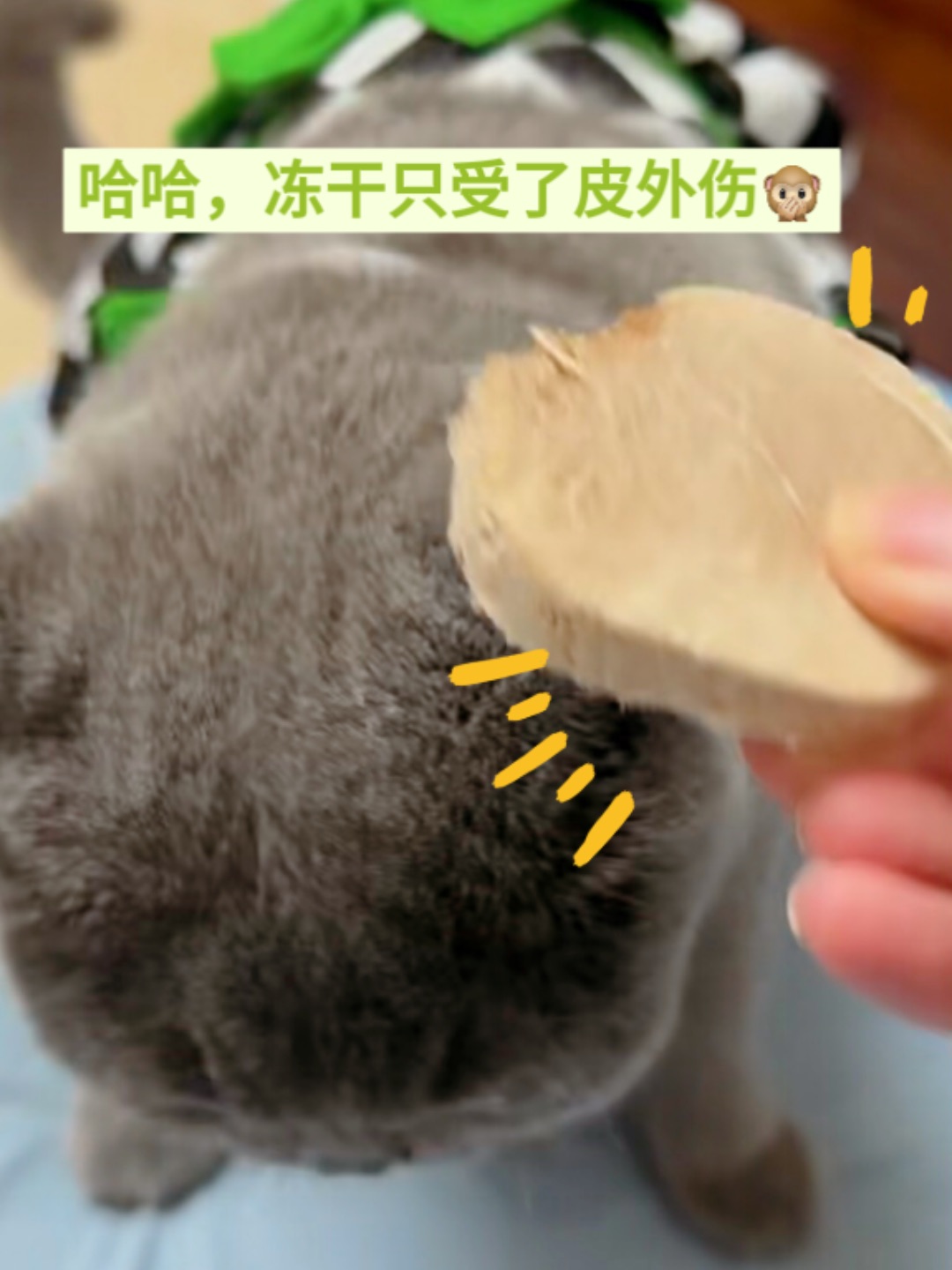 西五街
