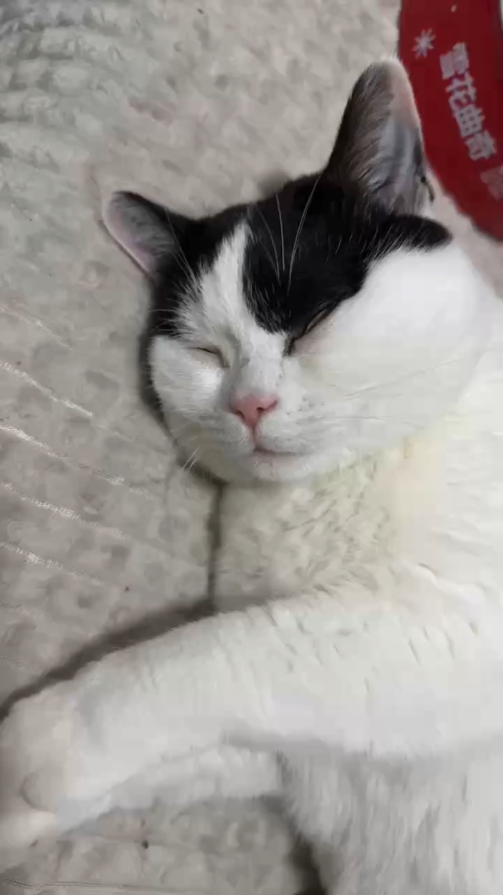 西五街